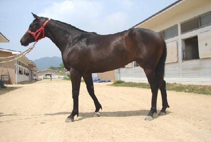 ���ɿ��� ����