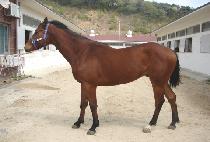 Ž�󼺿� (TAMNA SEONGUNG) ����