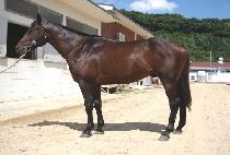 õ�ϰ��� (CHEONHA GANGJA) ����