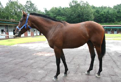 �ص��ǹ̷� ����