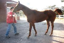 ���ѿ��� (GANGHAN YEOWANG) ����