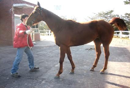 ���ѿ��� ����