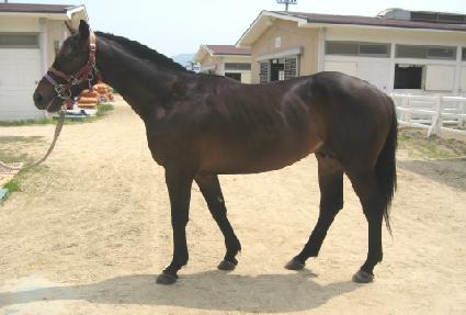 �޺����� ����