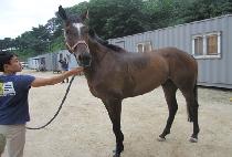 �̼��� (ISONGI) ����