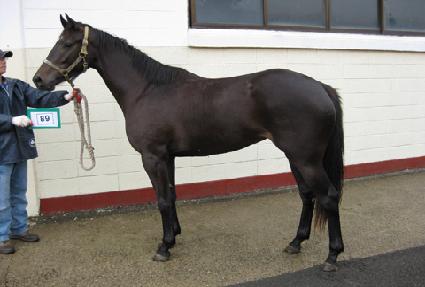 ������� ����