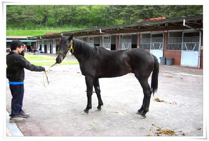 ������ ����