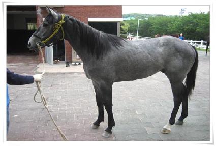 ���� ����