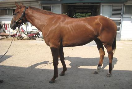 �������� ����