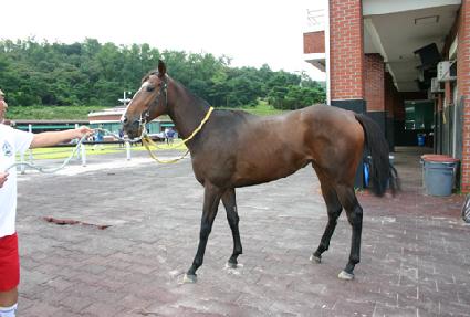 ���� ����