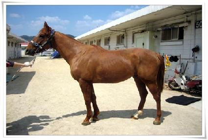 ȭ�� ����