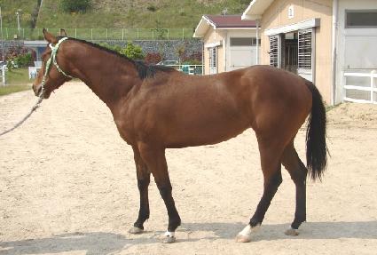 ��ȣ ����