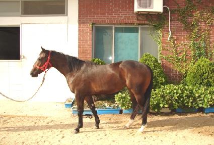 ���丮�̽� ����