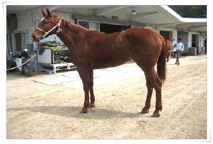 ���̳��� ����