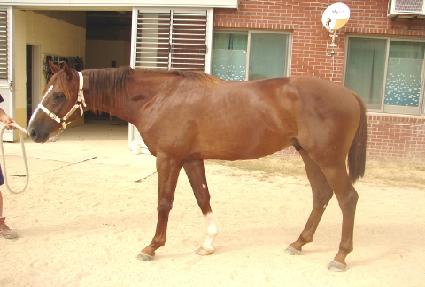 ������� ����