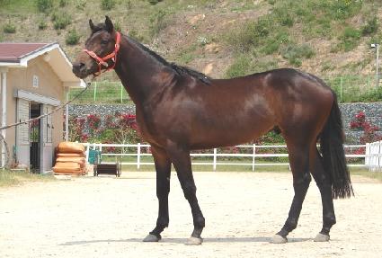 �Ŀ����� ����