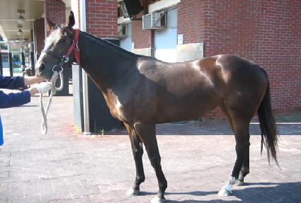 �����˹� ����