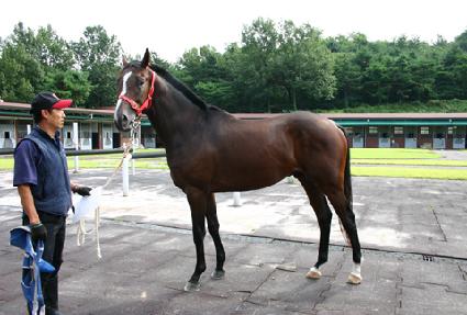 ����Ʈ��ȭ ����