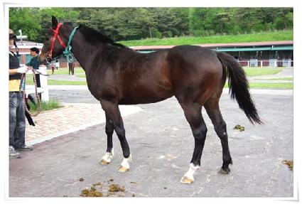 ��è�Ǿ� ����