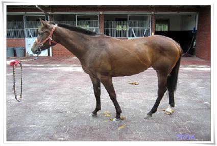 �����ƽý� ����