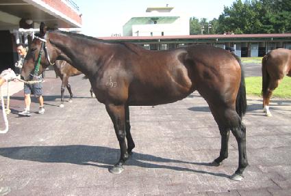 ��������Ʈ ����