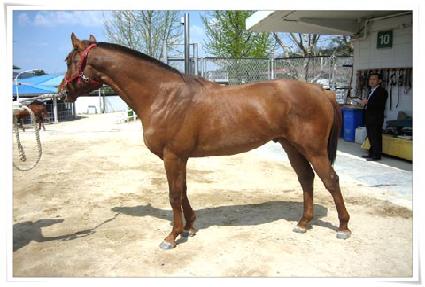 �����ǳ ����