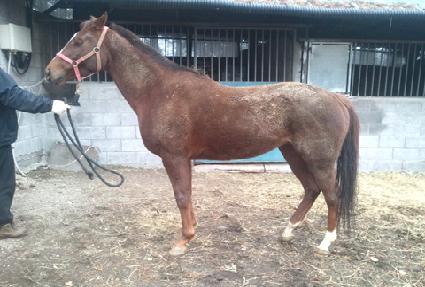 �������̹� ����