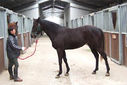 �������� ����