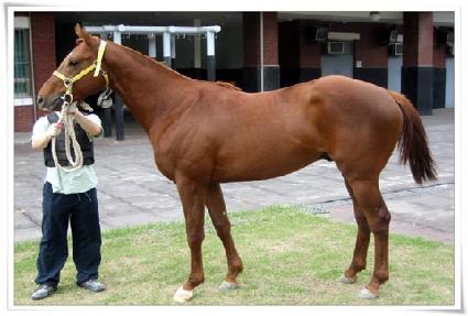 ����Ƽ�� ����