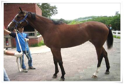 �Ƹ��� ����