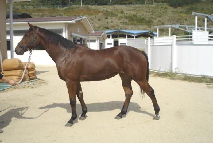 ��������ũ ����