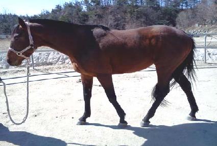 ���̽����̽� ����