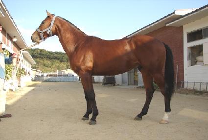 �������� ����