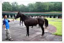 �������� (SAENAM JINJU) ����