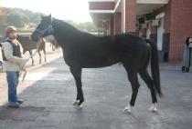 ��������Ƽ (EVER PREETY) ����