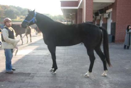 ��������Ƽ ����