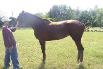 ������ (JEONGSANG YEOJE) ����