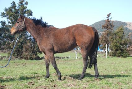 ����Ǯ������ ����