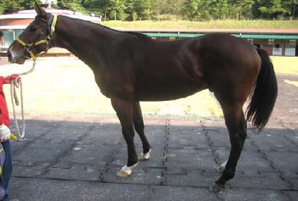 ��ũ�и��� ����