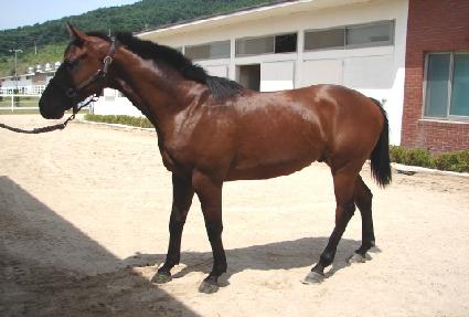 ����ġ ����