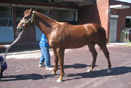 ����ڻ� ����