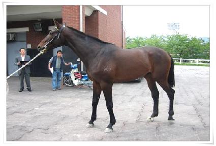 ���������� ����