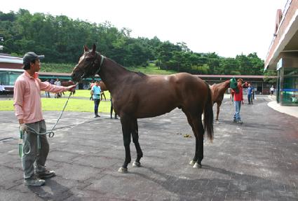 �ޱ׸� ����