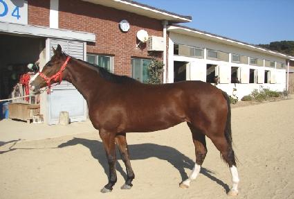 �������� ����