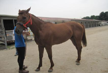 ����� ����