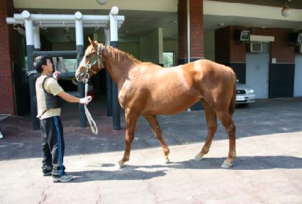 ���丮��ĸƾ ����