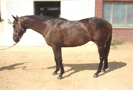 ��溰 ����