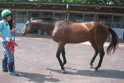 �����ũ ����