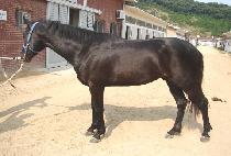 ���۰��� (SUPER GUY) ����