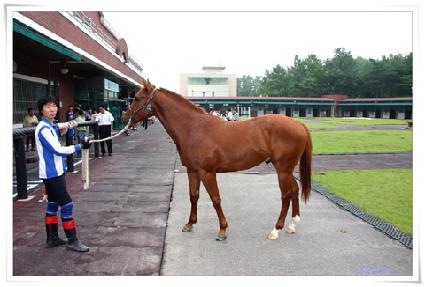 �̽���Ķ�Ÿ� ����