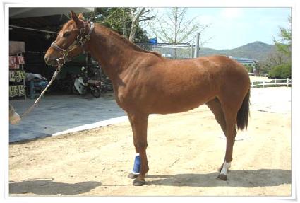 �̽��÷��� ����